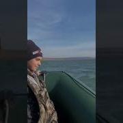 Каникулы На Озере