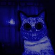 Plxyamishikii Нарисуй Кружочек Спаси Меня От Пчёл Slowed