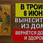 Проводи Домой