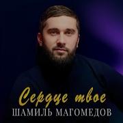 Такси Такси Шамиль Магомедов