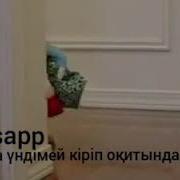 Группаға Үндемей Кіріп Отыратын Мысық