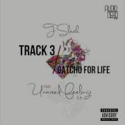 Gatchu For Life T Sleek