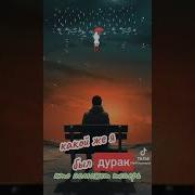 Ну Какой Же Ябыл Дурак