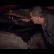 Я Вытащу Елду Со Рта
