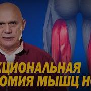 Бубновский Функциональная Анатомия Мышц Ног