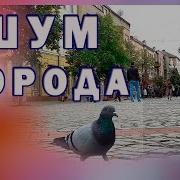 Уютный Городок Со Своими Звуками