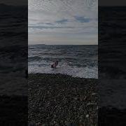 Николай Дубов Мальчик У Моря