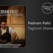 Pedram Paliz Taghvim Shamsi