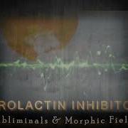 Morphic Sub Beats
