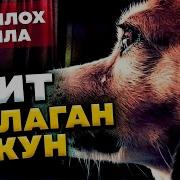 Абдуллох Домла Абдулхамид Кишки Хакида