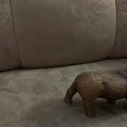Hyeanodon Vs Wooly Rhino