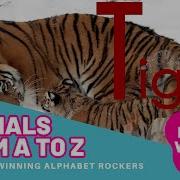 Animals From A To Z Alphabet Rockers