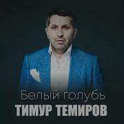Рыжая Тимур Темиров