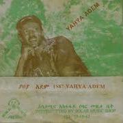 Yahya Adem Yahya Adem Coconuts