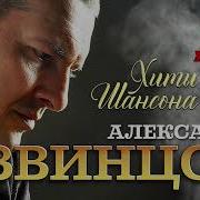 Александр Звинцов Все Альбомы