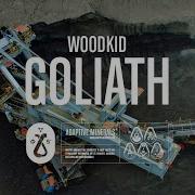 Goliath Woodkid