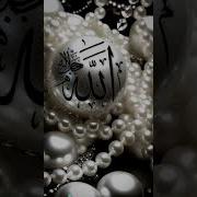 Aisha Hadi 1 Allah Reham Kare X Nadeem X Sirf Hamsafar X Sargodha