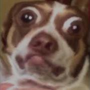 Mr Bubz Content Aware Scale