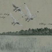 To Be Alone With You Sufjan Stevens