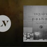 Peshay Funkster