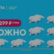 Yota Можно Котики