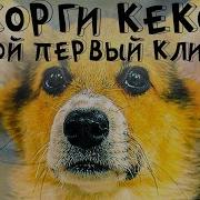 Корги Кекс Клип