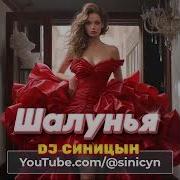 Dj Синицын Шалунья