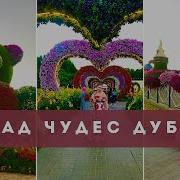 Ботанический Сад Клипы Для Души Топ 10 Жара Music Video