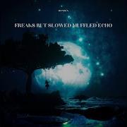 Freaks But Slowed Muffled Echo