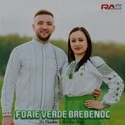 Md Music Foaie Verde Brebenoc