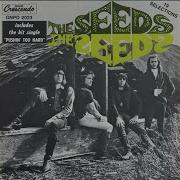 Can T Seem To Make You Mine The Seeds