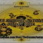 Reality Check Space Buddha Toasted