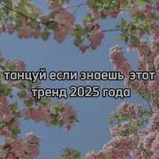 Крутые Песни Из Тт Флешмоба 2023
