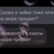 Скажи А Чайки Тоже Плачут Когда Их Море Предает