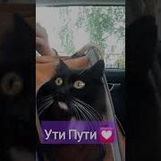 Что За Ушки Что За Носик Мимимишечка