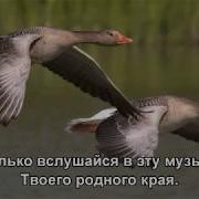 По Камушкам Марина Девятова