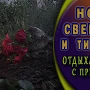 Уснуть Глубоким Сном И Проснуться Под Стрекотание Сверчков 8 Часов