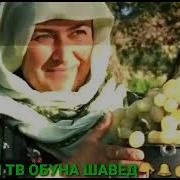 Оби Чашми Ойла