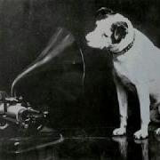 Polydor Orchestra