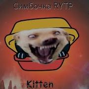 Kitten Rytp