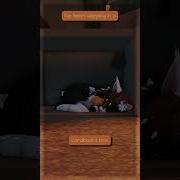 I M Sleeping In A Cardboard Box
