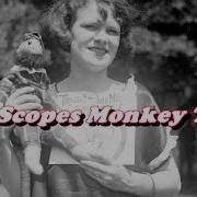 Scopes