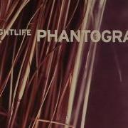 Turning Into Stone Phantogram
