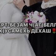 Марнана Лерина Дешнаш