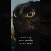 Почему Пахнет Пердой