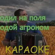 Молодой Агроном Минус