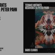 Teenage Mutants Heerhorst Peter Pahn Dark Clouds Drumcode