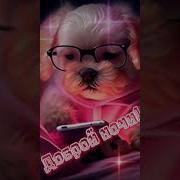 Чё Ты Уже Лежишь Да Спать Собираешься