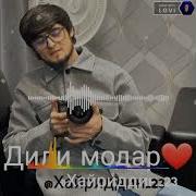 Дили Модар Хайриддин