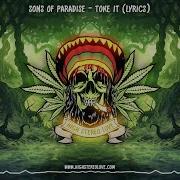 Sons Of Paradise Toke It